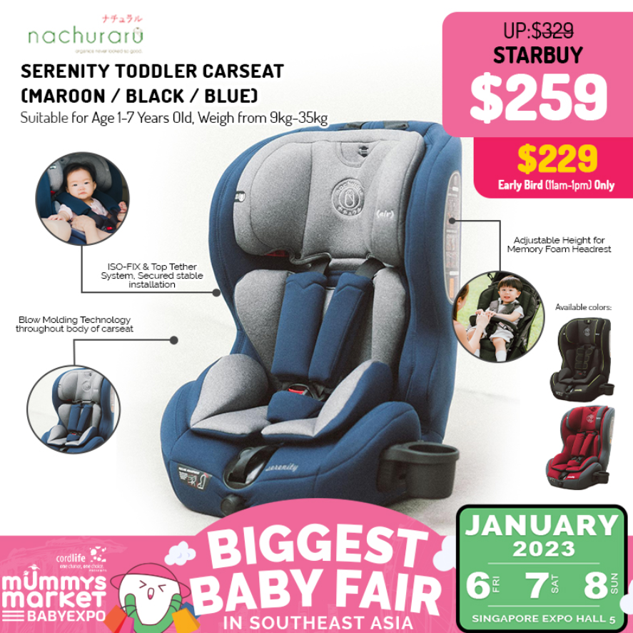 Baby Expo 2023 Storeller & Car Seat Under $300
